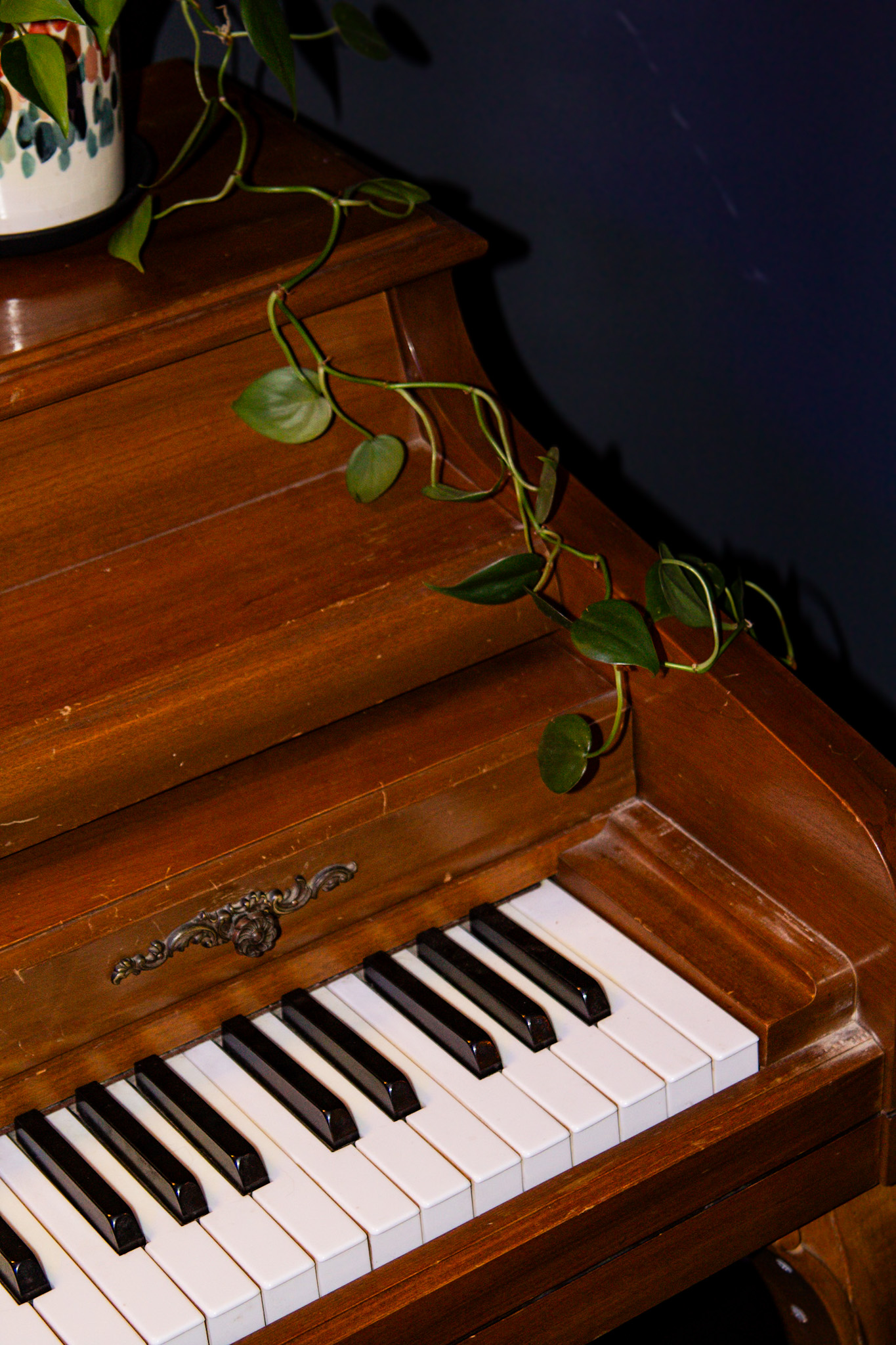 Close-up of worn piano keys with a trailing pothos vine draped across the top