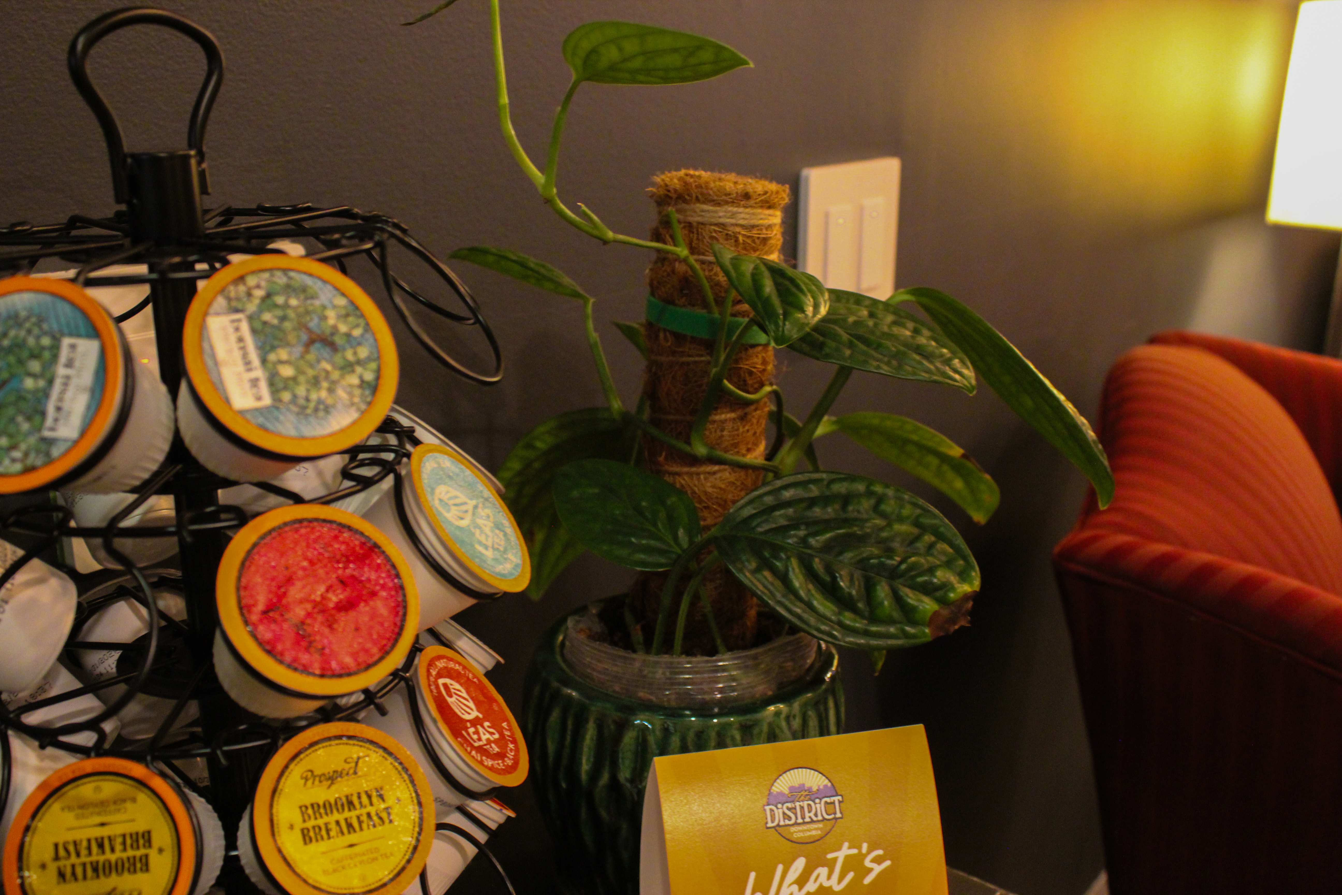 A carousel of assorted tea and coffee pods beside a potted plant in the studio lounge